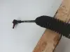 de56a11498c293ea5d7eee7fcc8bc5df