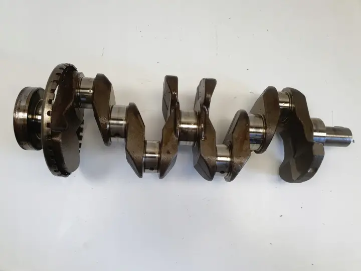 Renault Laguna III 2.0 16V WAŁ KORBOWY EN20H