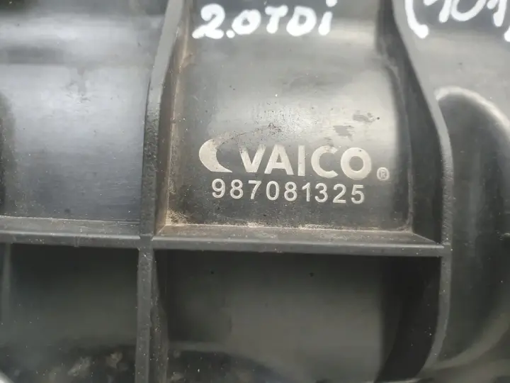 VW Tiguan 2.0 TDI KOLEKTOR SSĄCY 987081325