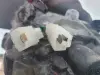 825713797128e49927c7761f78f4786a