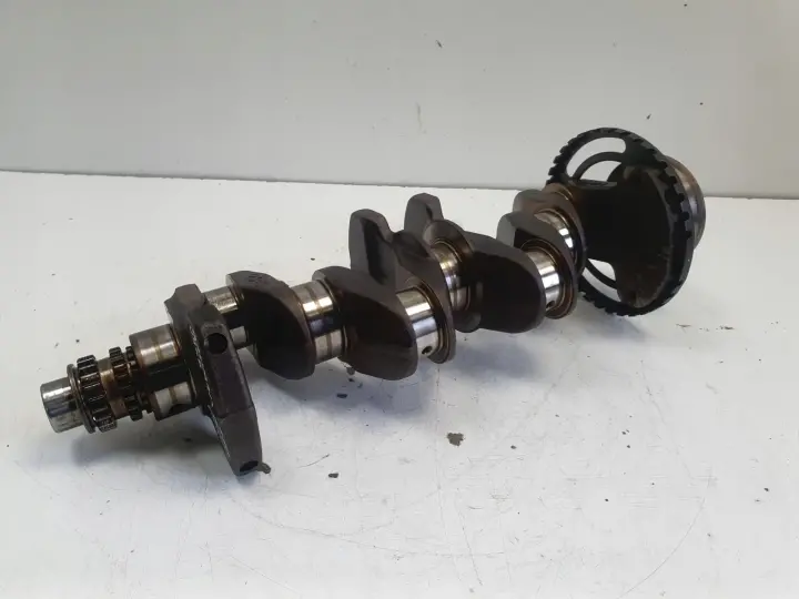 Nissan Juke 1.6 16V WAŁ KORBOWY 1KA0H