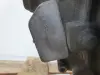 c1554654fbf3722136f583586094e59f