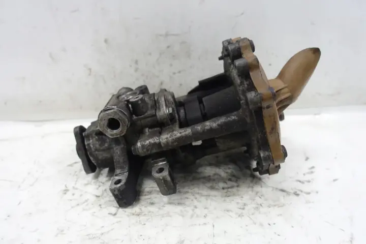 453eddcc72250e5f6fa0455915a01f61