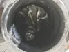 e4fbdc6a27a1c70c4dd3d94379b57e85