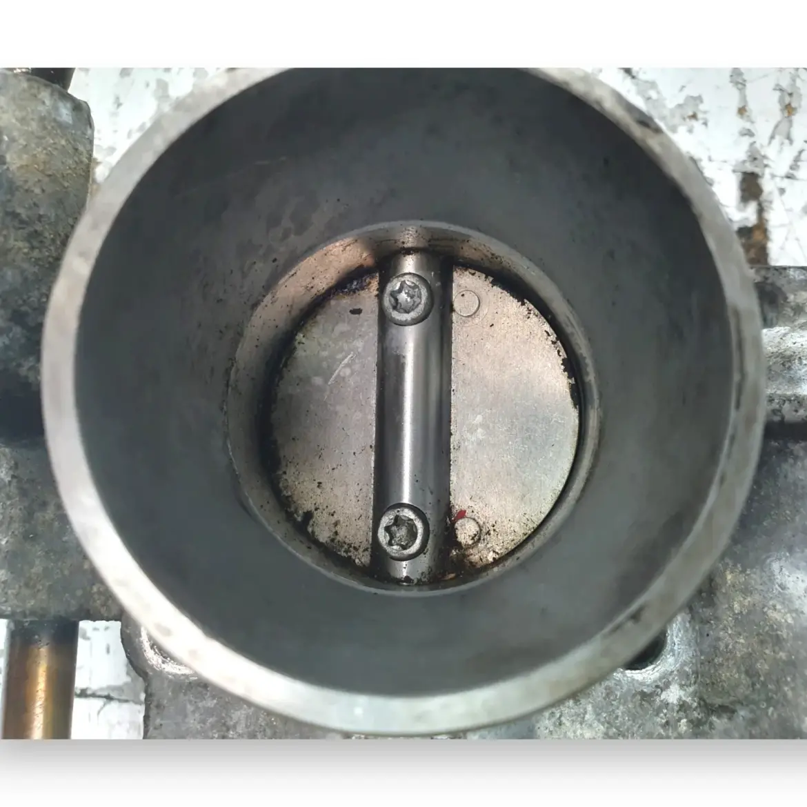 256088dd4c23530e5302ae53b196a0f3