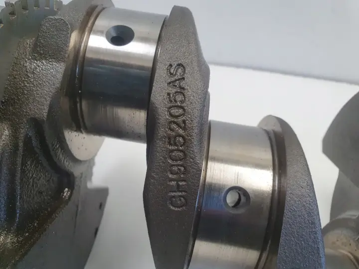 Iveco Daily IV 3.0 CNG WAŁ KORBOWY GH905205AS 502295017