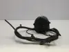172d560681a15281a44e02935b914c44