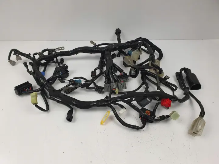 6013504e52e9071bac8c8ce55bb2de19