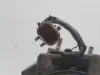 b9118336ffef98d7117cc6b59c6f0233