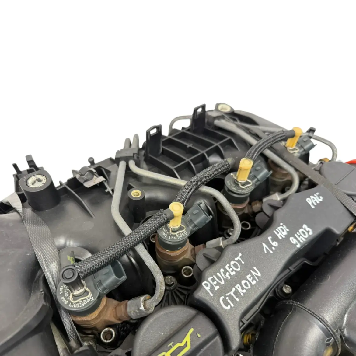 8db24acf722cc04da12c3f3f731392ff
