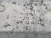 2df3b65c4ceffc0e56d09223c33d522a