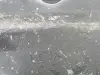 0dd3b336480df42ee10494807865b515