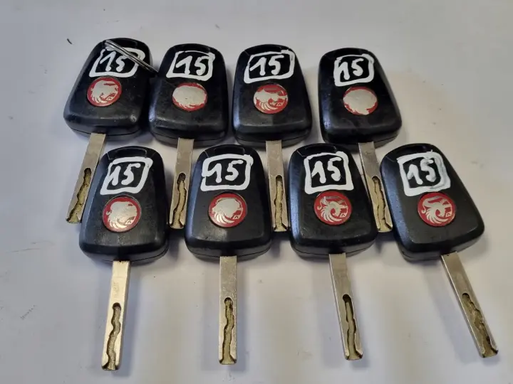 Opel Vauxhall KLUCZYK PILOT 2 przyciski