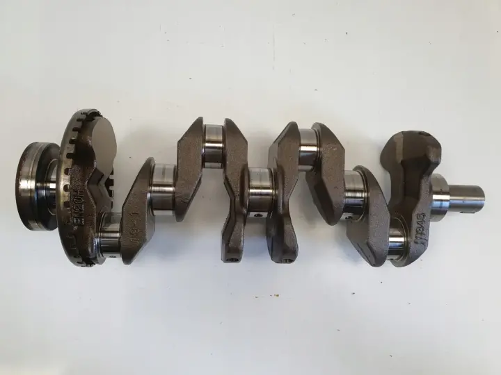 Renault Laguna III 2.0 16V WAŁ KORBOWY EN20H