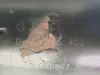 6cac161dfc988d66677f657f6b919322