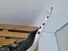 BMW E60 03-07r KOMPLETNY PRZEDNI ZDERZAK przód SREBRNY SPRYSKI PDC 354