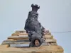 Chevrolet Captiva 2.0 VCDI REDUKTOR SKRZYNI BIEGÓW 96625100