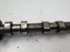 24c69f28102efbaf09158eef53aa5709