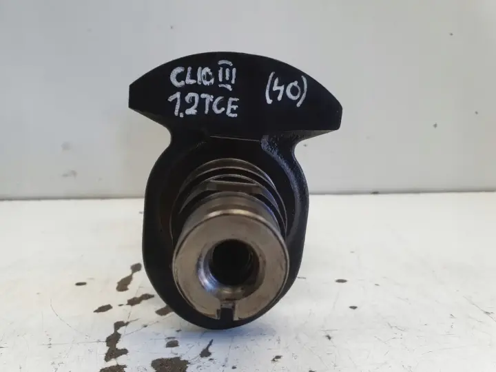 Renault Clio III 1.2 TCE 05-12r WAŁ KORBOWY TF8469