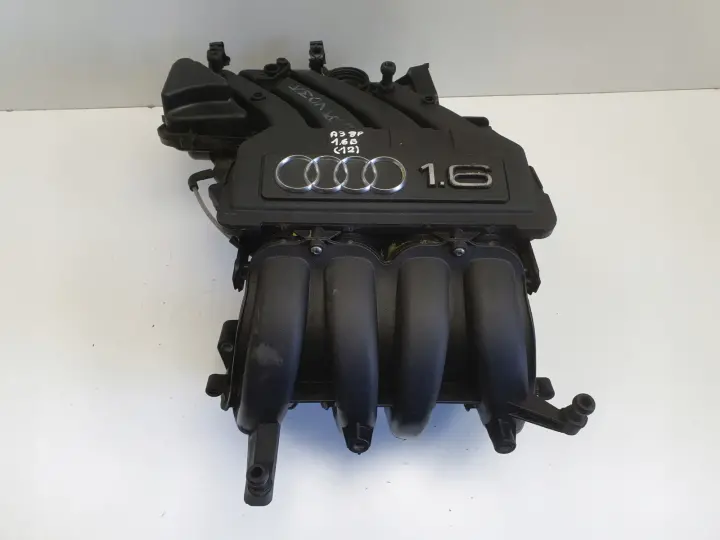Audi A3 II 8P 1.6 8V KOLEKTOR SSĄCY 06A133203DL