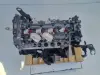 SILNIK Renault Koleos 2.0 DCI nowy rozrząd M9R832