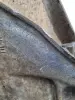 fc00370853f6cb2aae497546e320d169