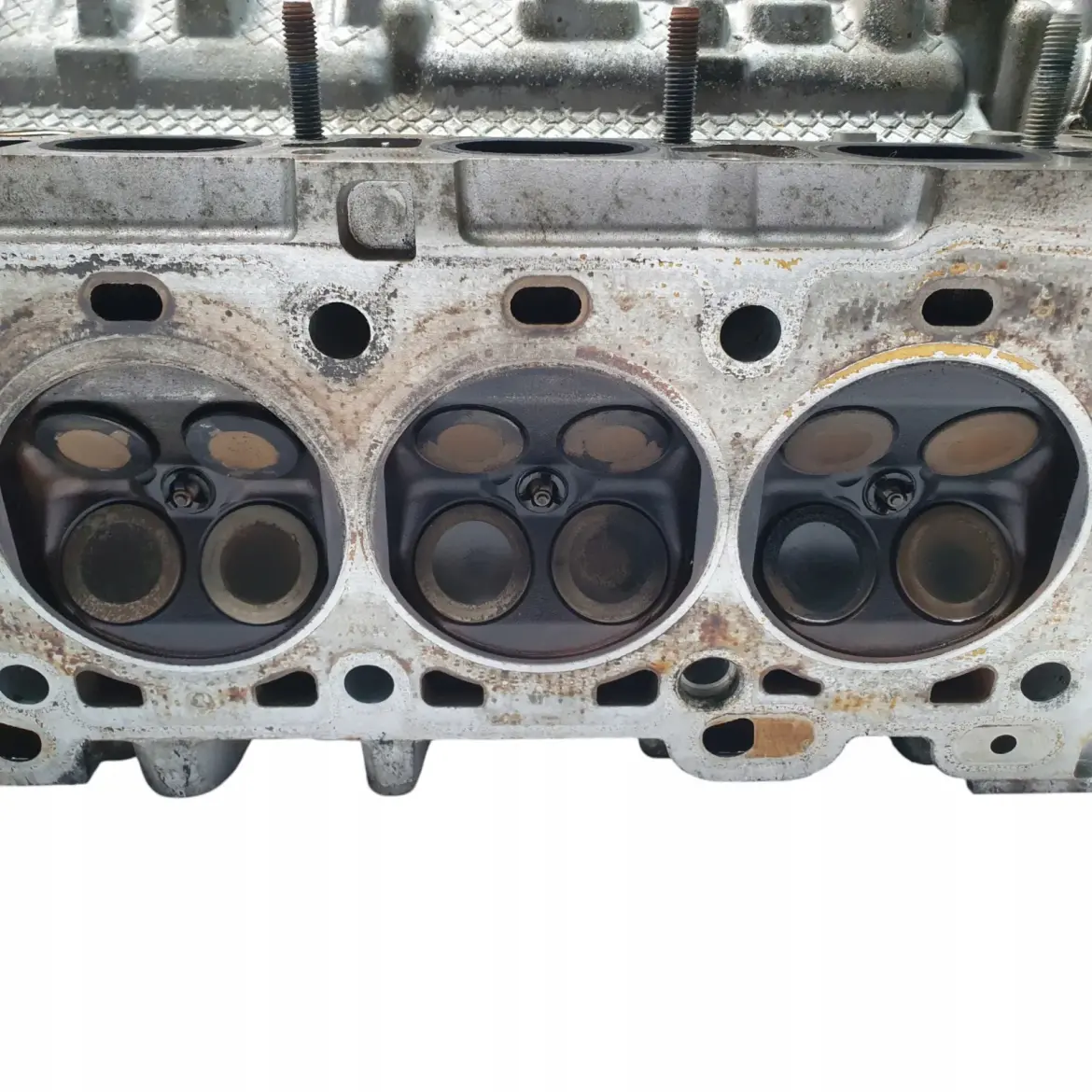 1eec9ccd9bac1cc3948a0da694769987