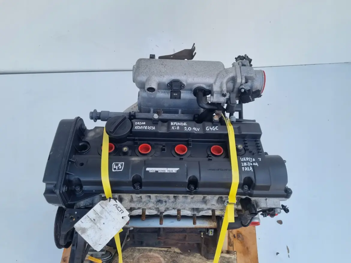 SILNIK KOMPLET Kia Sportage II 2.0 16V 139tyś zmienne fazy G4GC