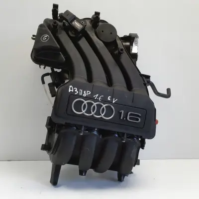 Audi A3 II 8P 1.6 8V KOLEKTOR SSĄCY 06A133185LF