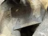 5b2f8f5f4a6d7ebb1174d429b6922271