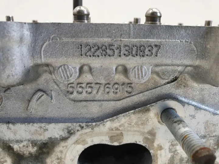 Opel Insignia 2.0 CDTI GŁOWICA CYLINDRÓW 55576915