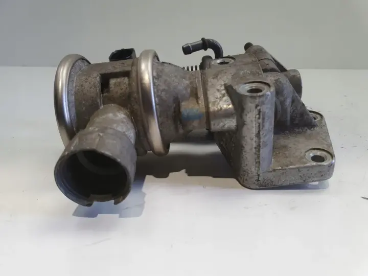 Vw Golf V Audi A3 II 8P 1.6 8V ZAWÓR EGR 06A131501J