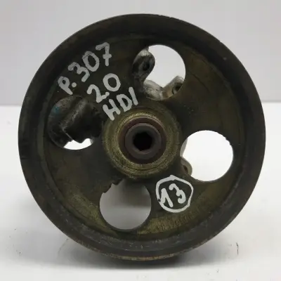 Peugeot 206 2.0 HDI POMPA WSPOMAGANIA oryginał