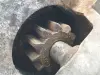 Volvo XC60 2.0 D4 ROZRUSZNIK 30659314