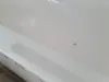 dcdc064b2206e90d27e5bbf351a28f91