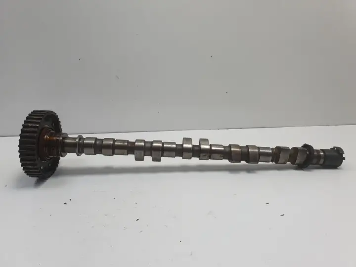 33362cdf960400e78794816c91c65e6a