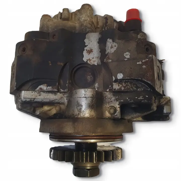 135eb45adba9326e0d87287d6393f54e