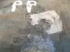 b8da41b2aac2764a5594446defb17748