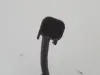 a3734e8b71ee69df628e705e5841d3c3