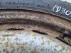 VW Transporter T5 T6 KOŁO ZAPASOWE Zapas felga 215/65 R16C 5x120 7H0601027D