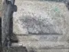 9f95d4b5fe7b9ea3c9dfc447f1795385