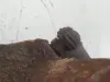 5d03e0a7fbb7d24860b68086e7fb4245