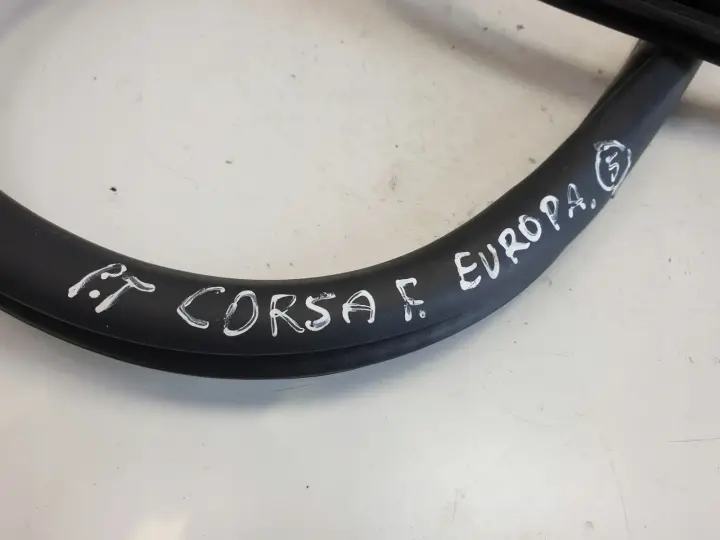 Opel Corsa F USZCZELKA DRZWI prawy tył