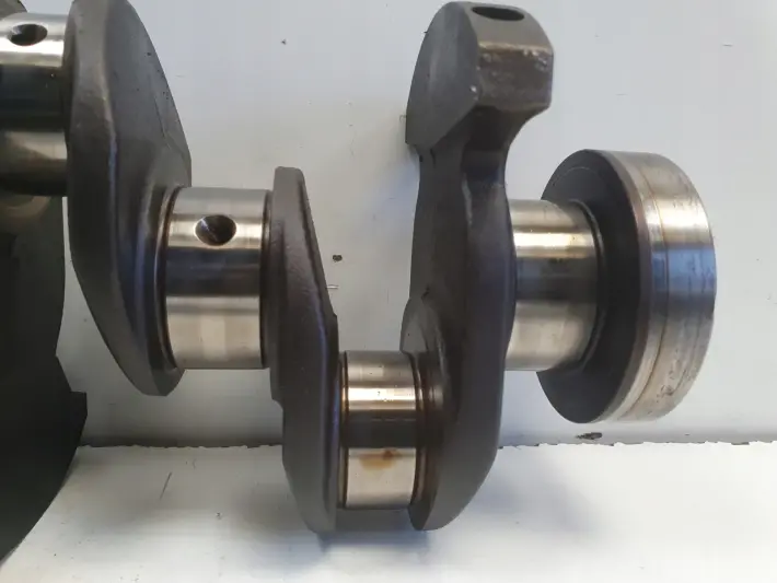 Renault Clio III 1.2 TCE 05-12r WAŁ KORBOWY TF8469