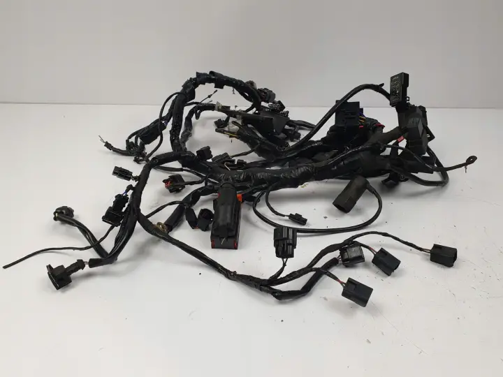 3e131608a29c1af061d67e6264cc18d4