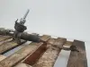 0273115b35b51b2756d322dc95990611