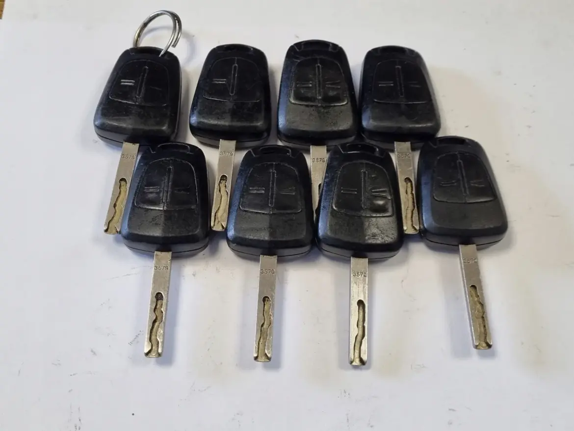 Opel Vauxhall KLUCZYK PILOT 2 przyciski