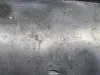 366b52c8c0404a051e9d93d6de90c963