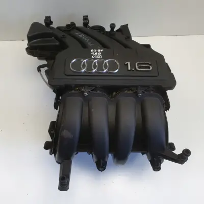 Audi A3 II 8P 1.6 8V KOLEKTOR SSĄCY 06A133203DL