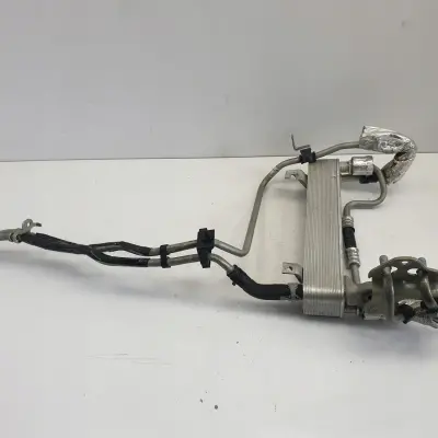 97010769e430fe4196433ae5d570398c
